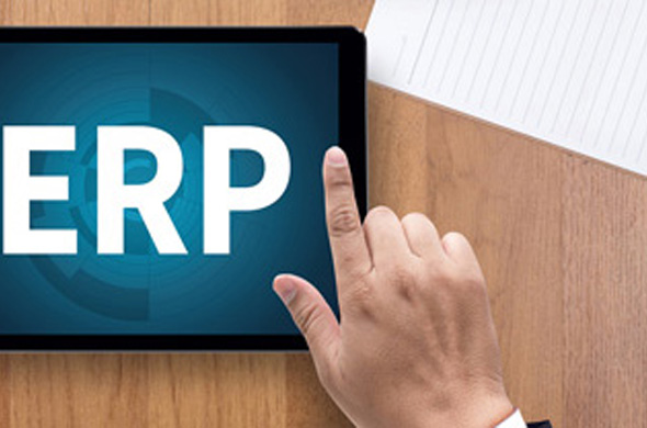 ERP small not simple
