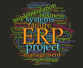 ERP Failure Factors